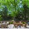 Outdoor Patio